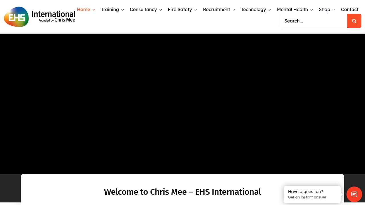 Screenshot of EHS International website