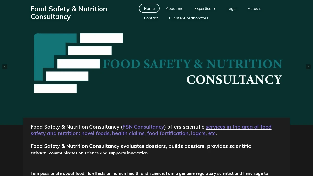 Screenshot of FSN Consultancy website